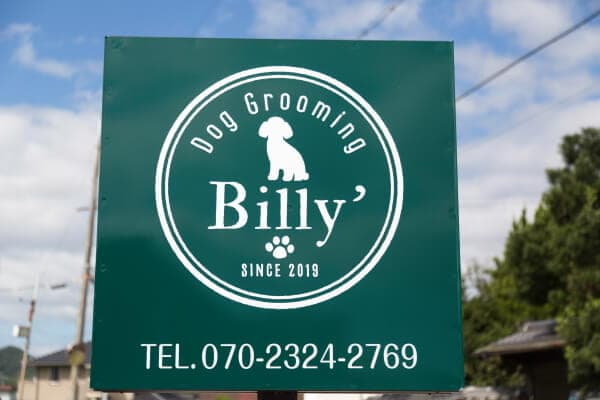 Dog Grooming Billy'の写真1