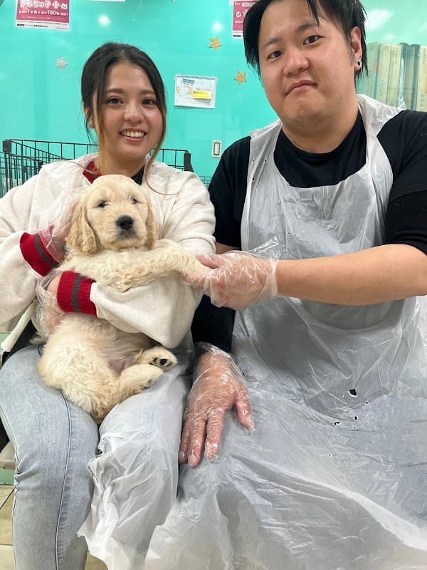 ペットハウスハピネスの写真