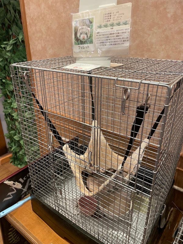 ふれあいあにまるぱーく Petshop Ricky イオン秋田中央店の写真