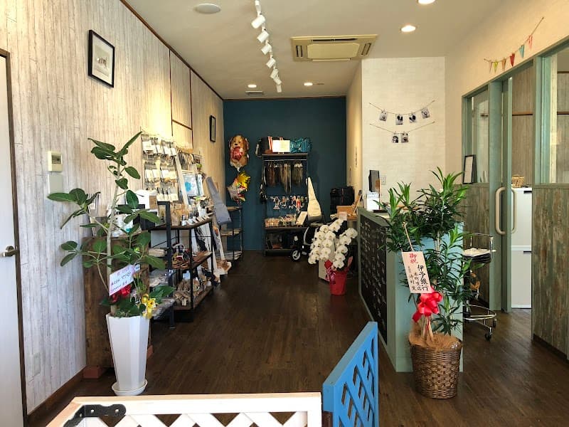 dog salon ALMO ドッグサロン アルモの写真