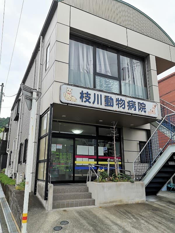 枝川動物病院の写真