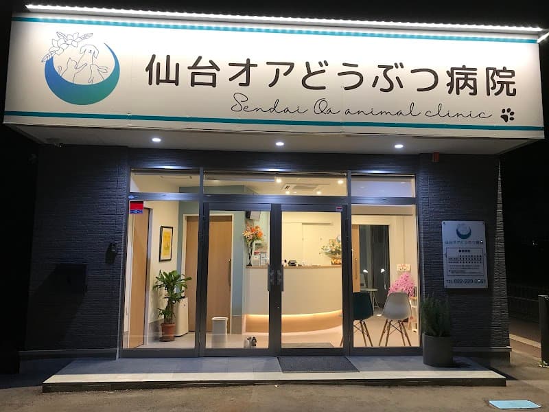 仙台オアどうぶつ病院の写真