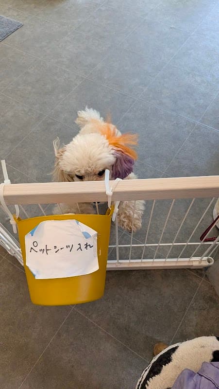 ペットサロンアニーの写真2