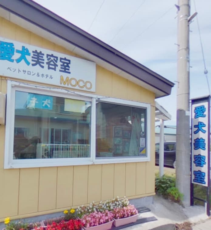 愛犬美容室MOCOの写真3