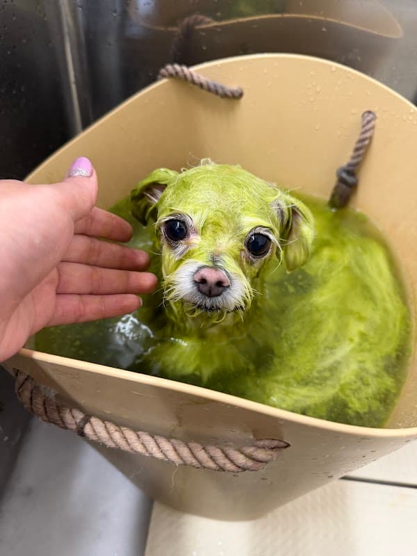トリミングサロンファーモの写真1