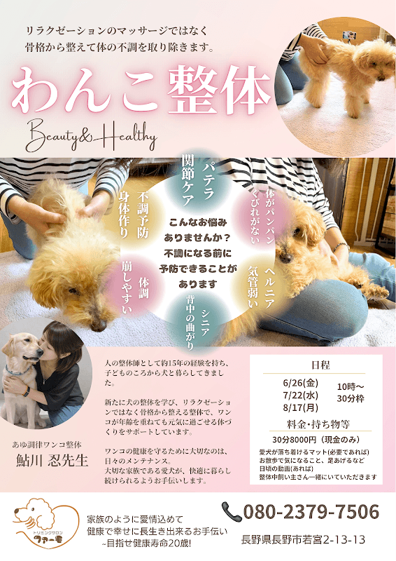 トリミングサロンファーモの写真5