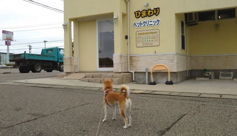 ひまわりペットクリニックの写真
