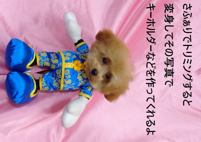 ペットサロン さふぁりの写真