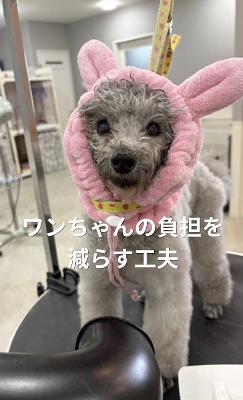 トリミングサロンRIPの写真
