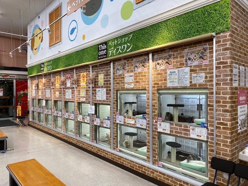 ペットショップ&トリミングサロン ディスワン湘南平塚店の写真