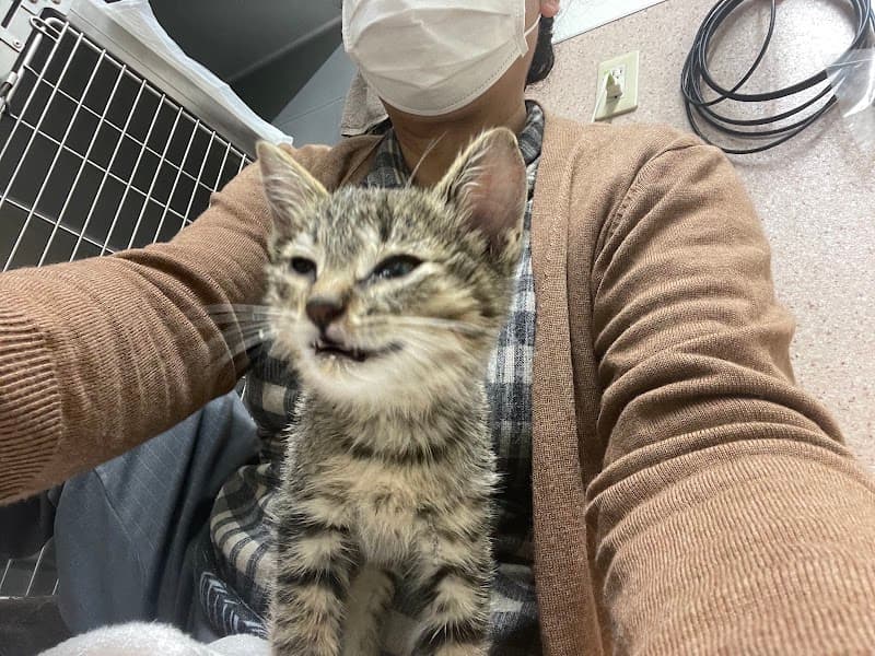 市原動物病院の写真