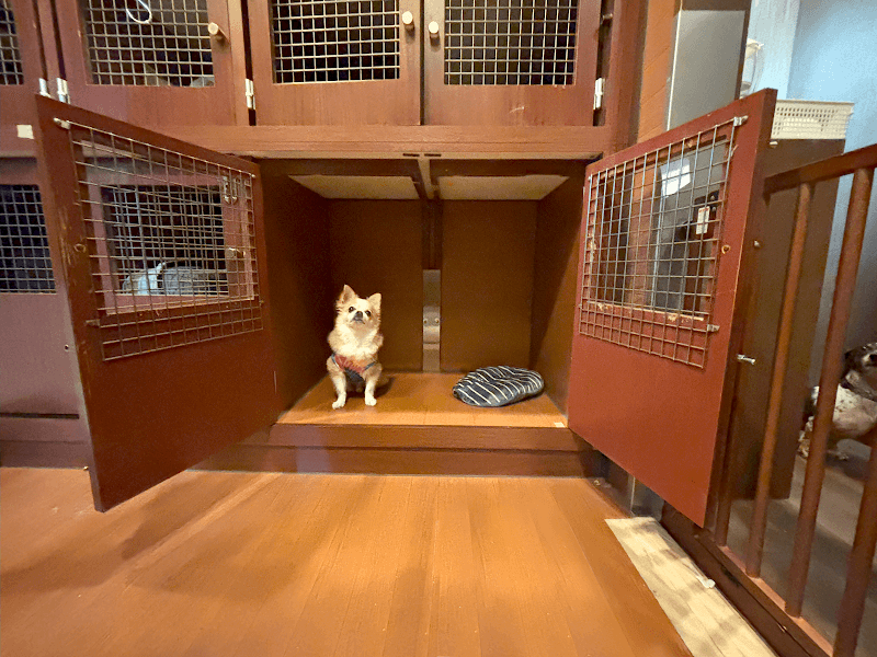 麻布PET 麻布店ペットホテル&ペットシッター クレディセゾングループの写真6