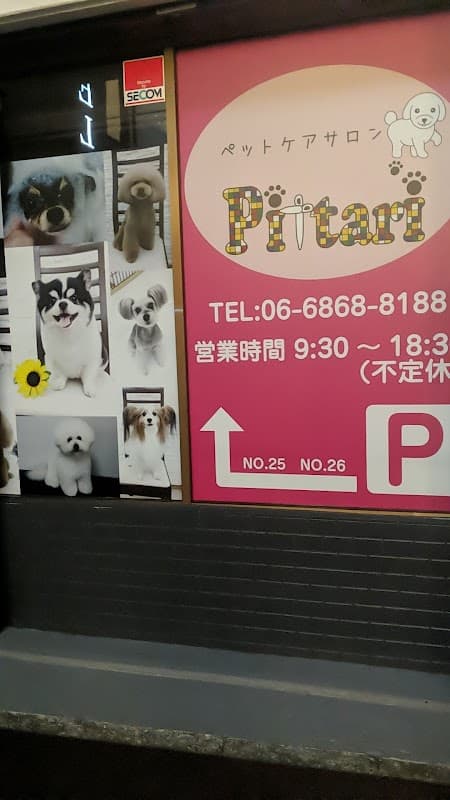 ペットケアサロン Pittariの写真