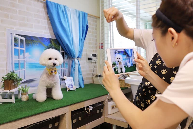 dogsalonKENCHERRYの写真1