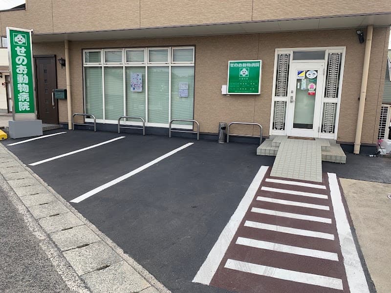 せのお動物病院(岡山市南区)の写真