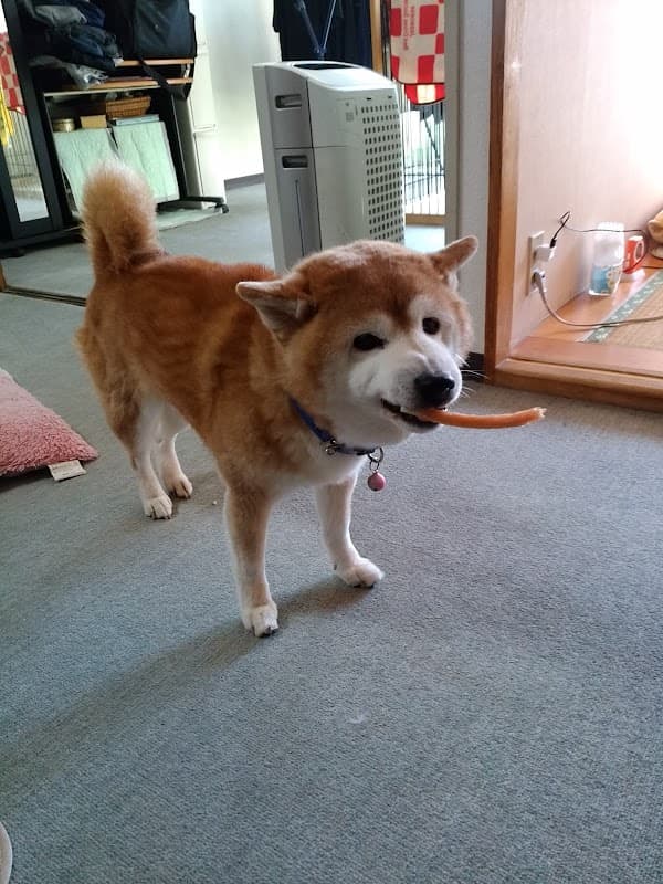 ニュートン動物病院の写真