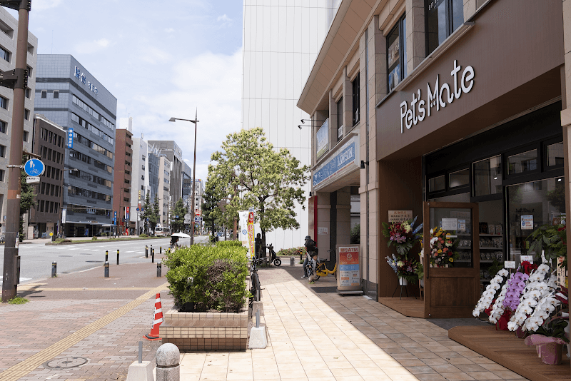 Pet's Mate ペッツメイト天神大名店の写真