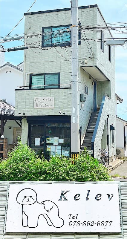 Kelevの写真