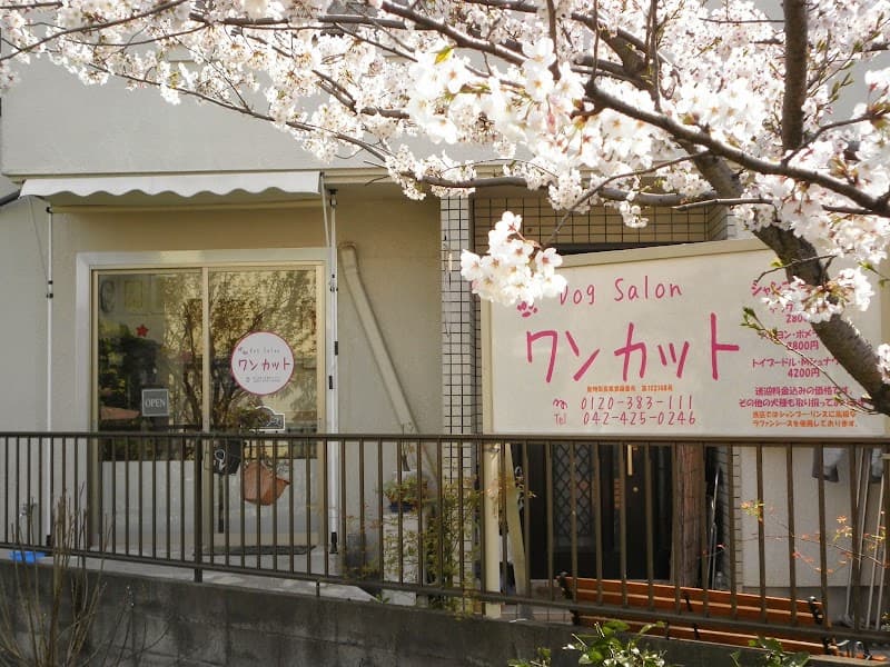Dog Salon ワンカットの写真