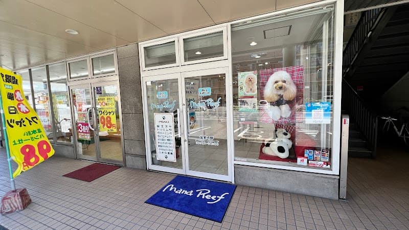 マナリーフの写真