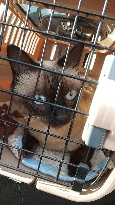 みやおか動物病院の写真