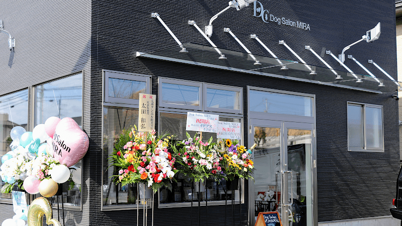 Dog Salon MIRA 光の森店の写真1