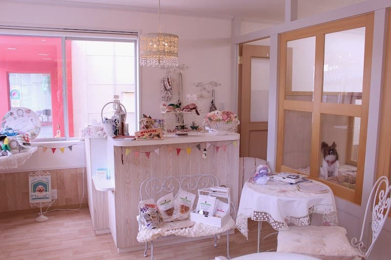 dog salon ChouChou de yukicocoの写真