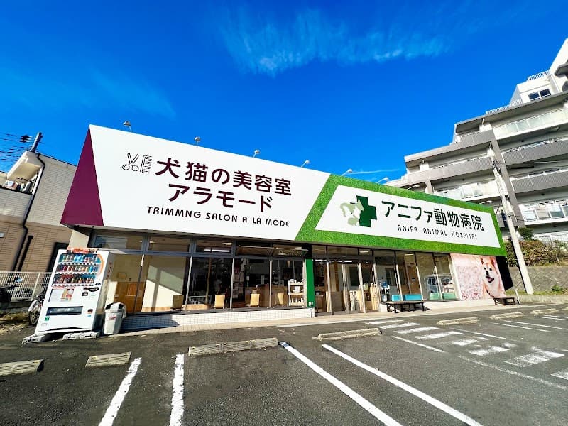 トリミングサロンアラモード 松戸胡録台店の写真