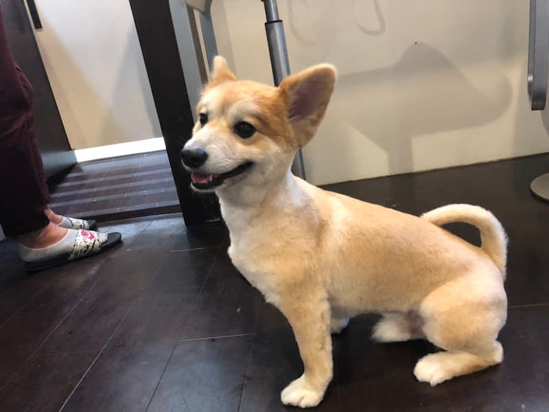 DOG EST 白金台店の写真4