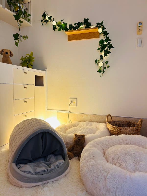 Pet Hotel le'ale'a(ペットホテル レアレア)の写真1