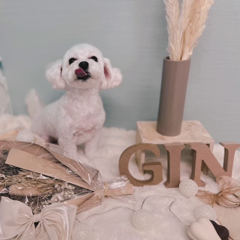 GINペットトリミングサロンの写真