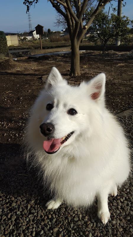 うつのみや動物病院の写真