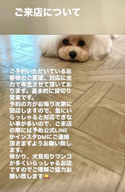dog salon Reveの写真