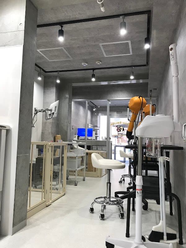 Dog Salon Coochie Coosuke(ドッグサロン クーチークースケ)の写真