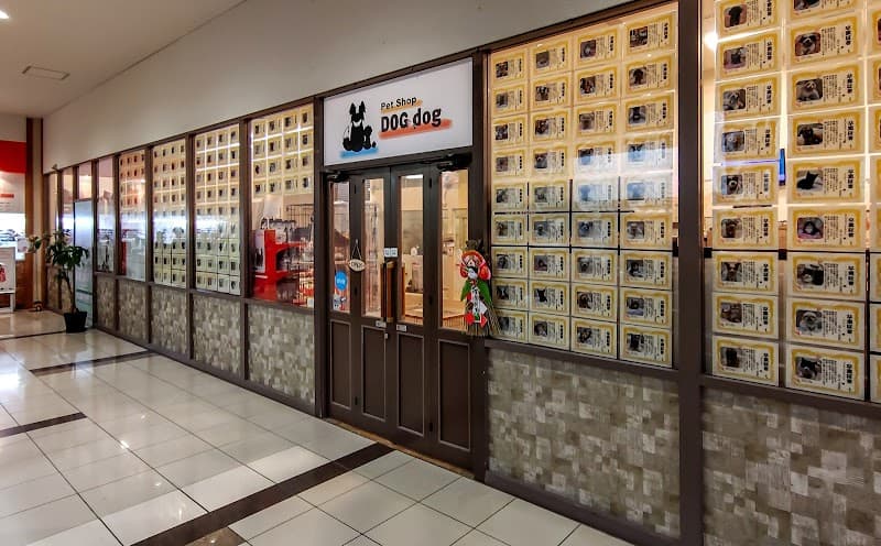petshop DOG・dog ラソラ札幌店の写真
