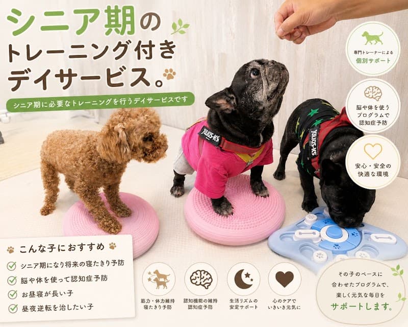 Rosette+(ロゼットプラス)シニア犬デイケア・介護・整体サロンの写真