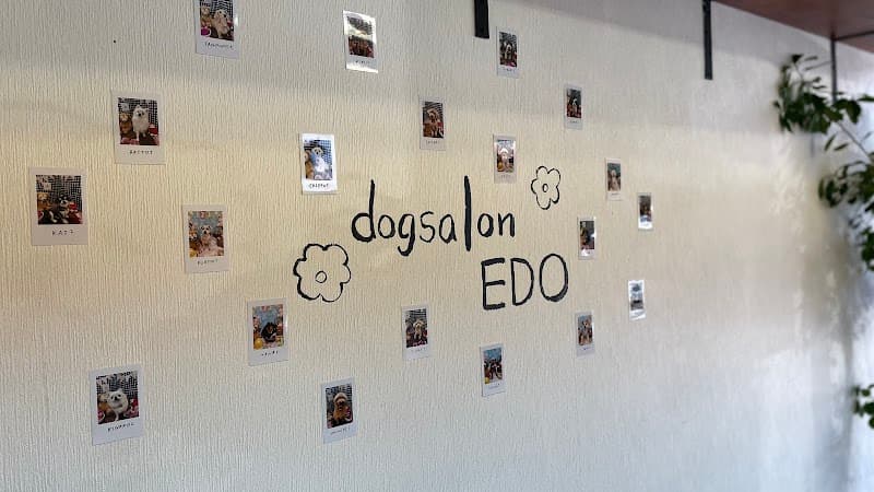dogsalonEDO(ドッグサロンエド)の写真