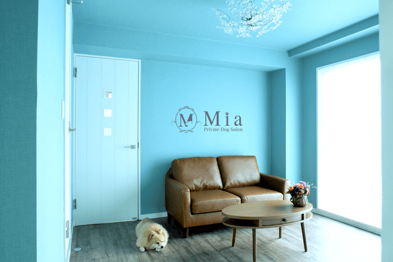 Private Dog Salon Mia / プライベートドッグサロンミーアの写真