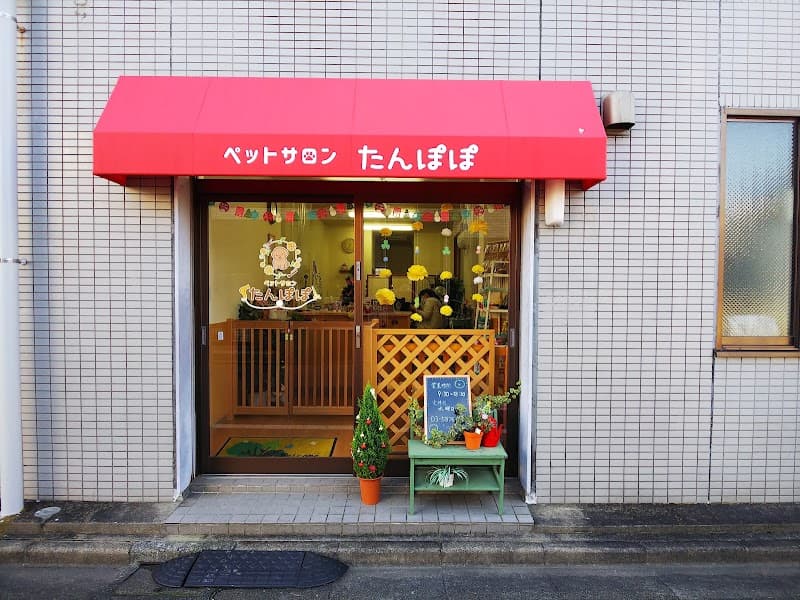 ペットサロンたんぽぽの写真