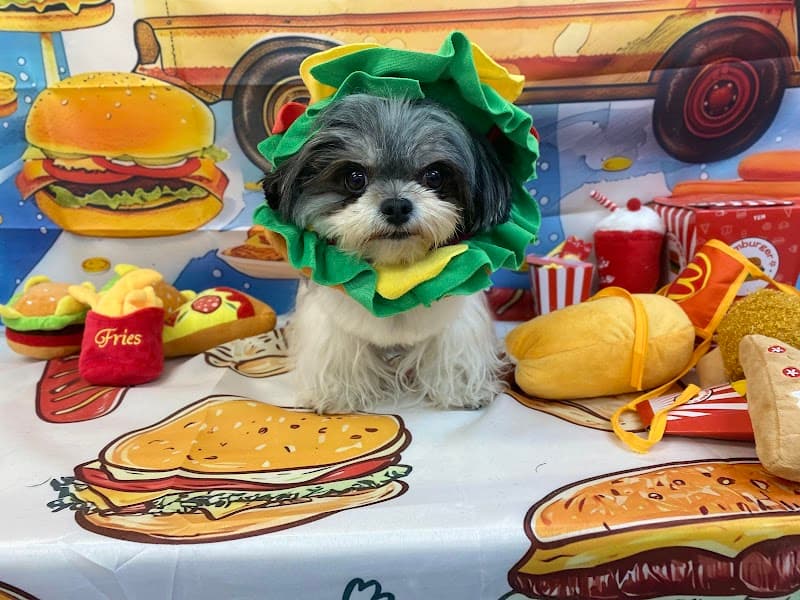REAL PETSALON&HOTEL リアルペットサロン&ホテルの写真1