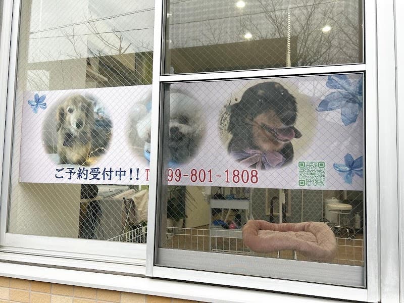 Dog salon nino·ninaの写真2