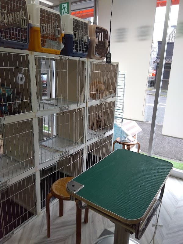 犬の美容室ドッグドーリィーの写真