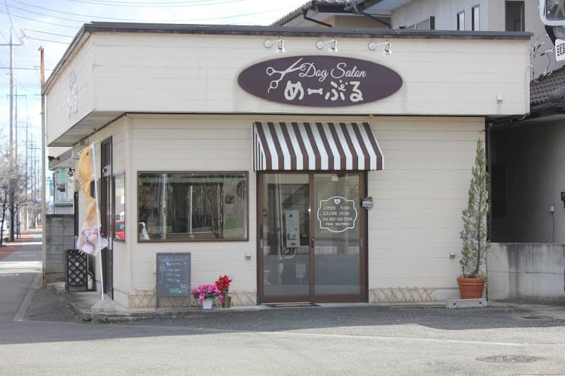 Dog salon めーぷるの写真