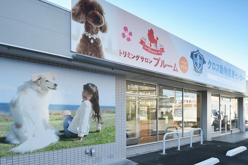 トリミングサロンブルーム青井店の写真2
