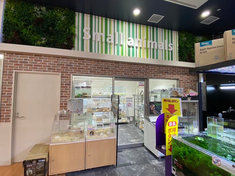 ディスワン新横浜店の写真