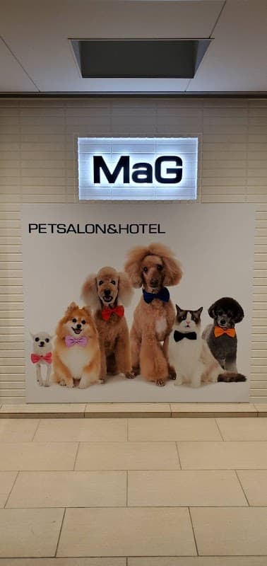 Pet Salon & Hotel MaG 大阪市北区 天六 トリミングサロン ペットホテルの写真1