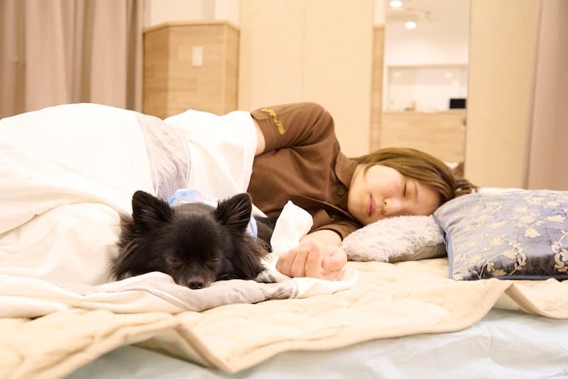 Dogalive Hillsの写真3