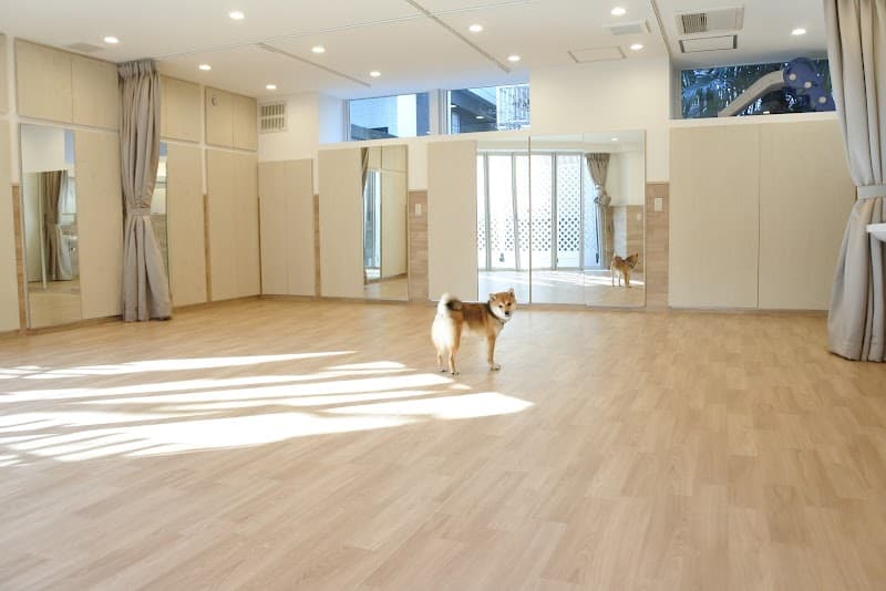 Dogalive Hillsの写真4