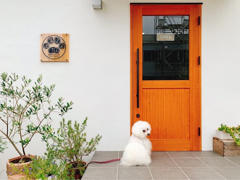 ドッグサロン Pawesome Life(パウサムライフ)の写真