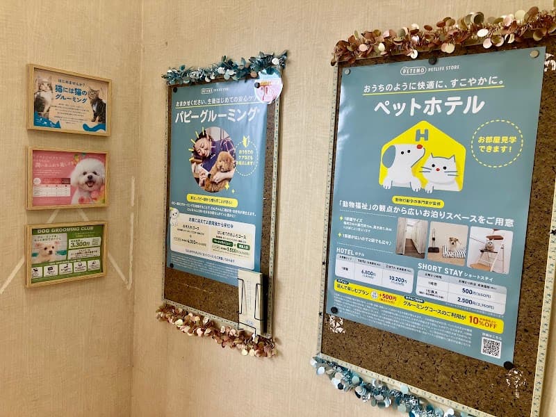 ペテモグルーミングサロン大和店の写真3